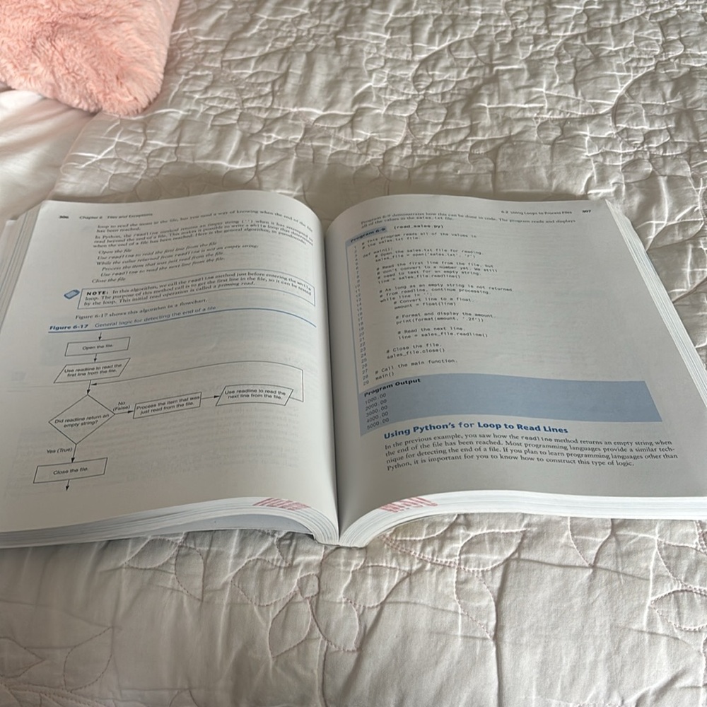 Python text book 4th edition - Picture 4 of 4
